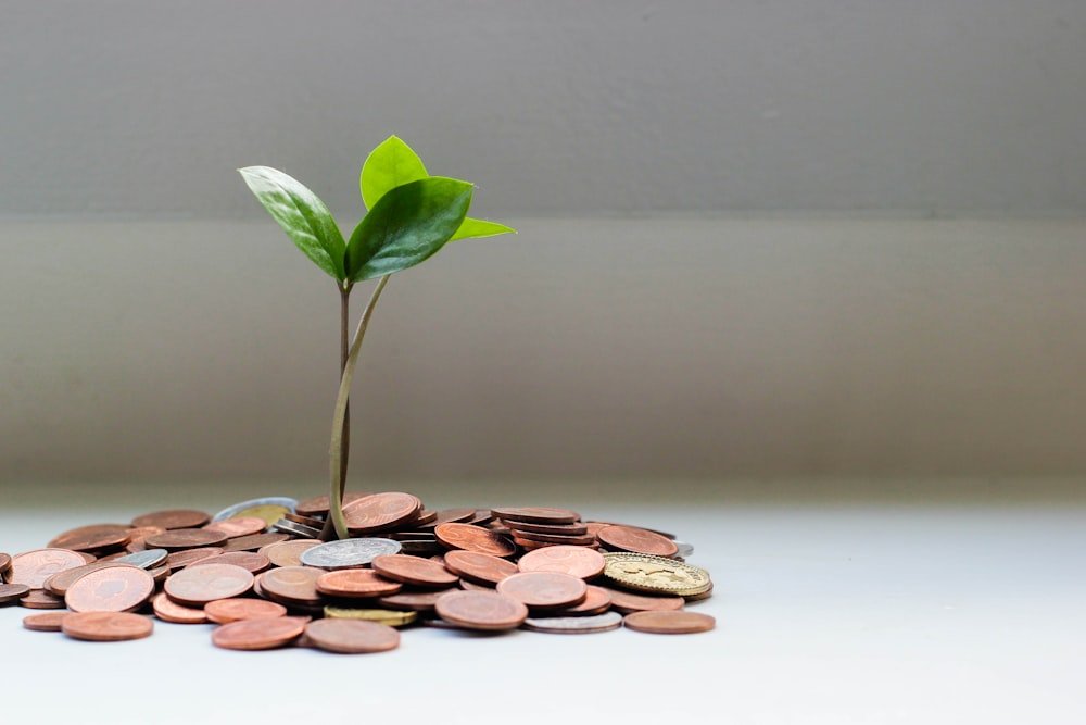 Personal Loans